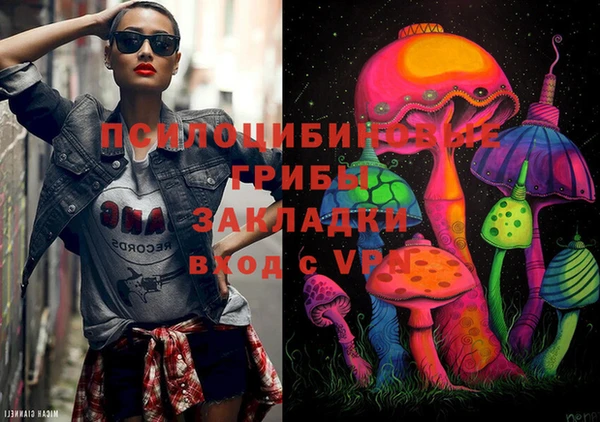 стаф Осташков